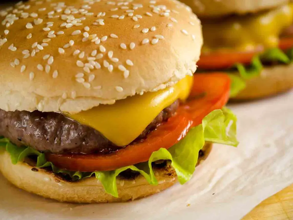 what is the best brand of frozen hamburger patties