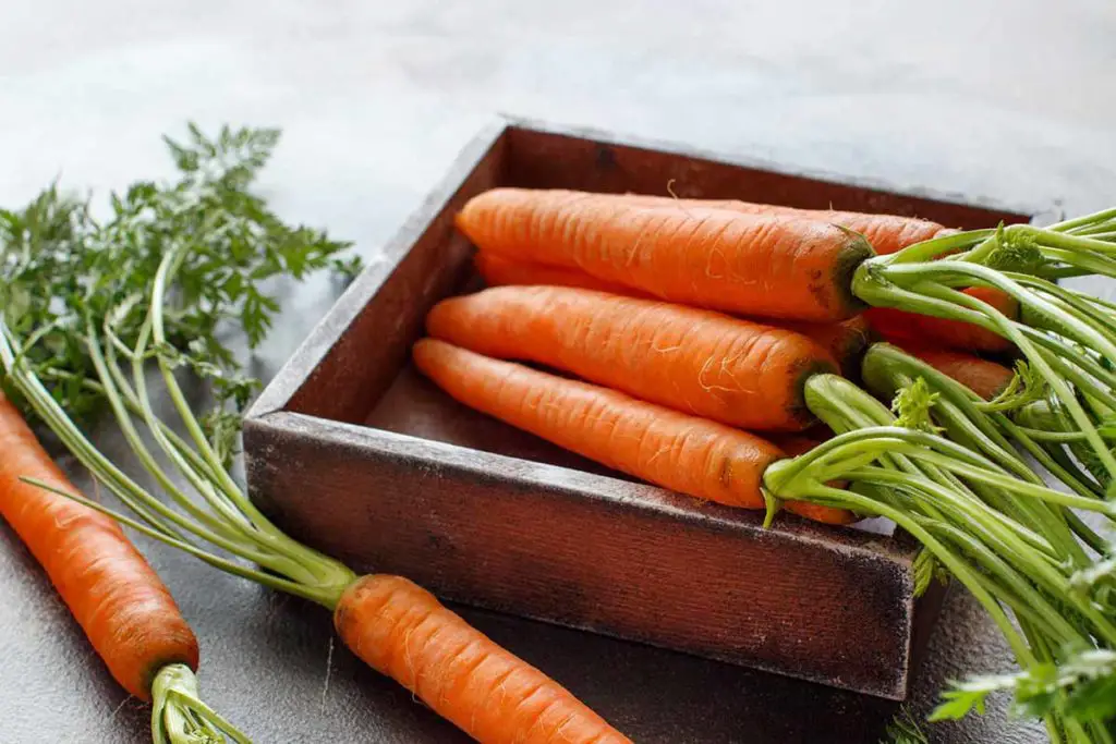 best vegetable chopper for carrots