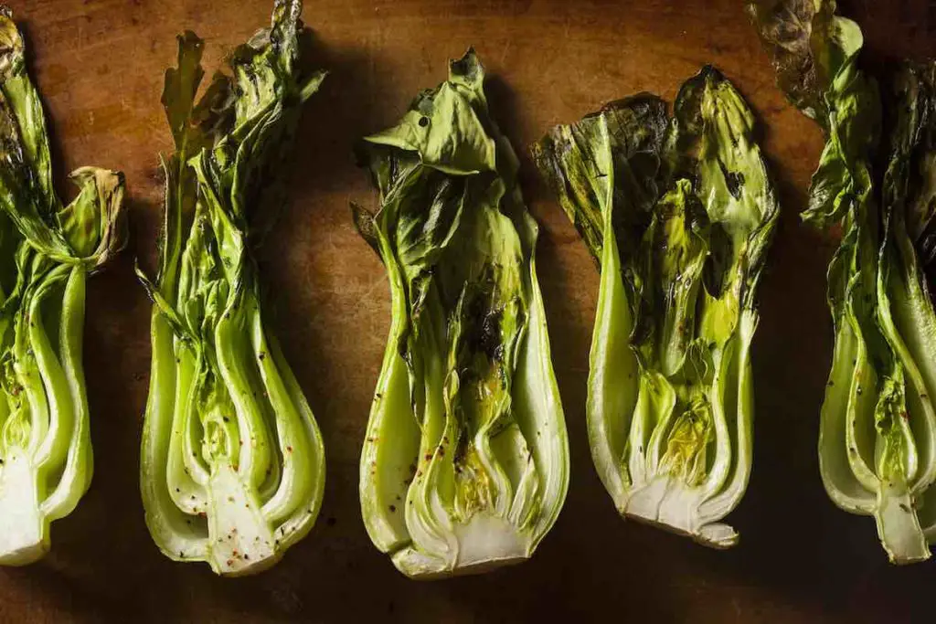 how to use bok choy in recipes